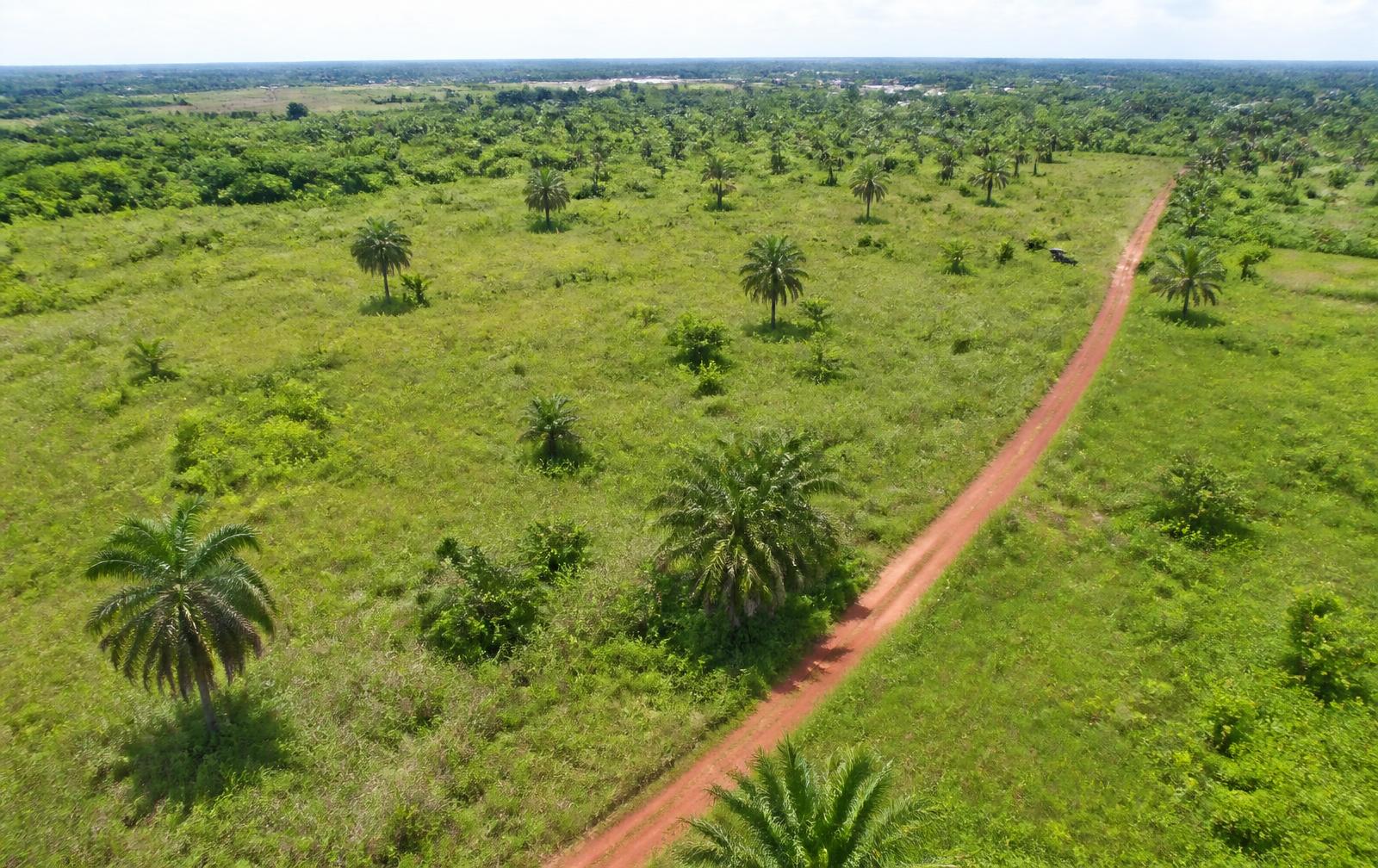 Agricultural Settlements